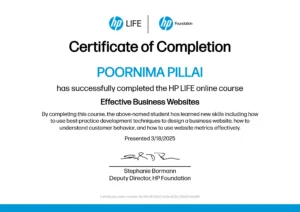 Effective Business Websites